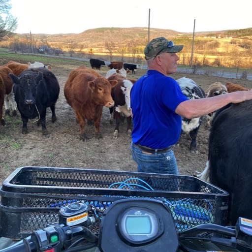 Guy with the herd